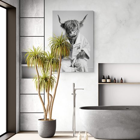 OBRAZ KRAVA S NOVINAMI NA ZÁCHODE - OBRAZY BYVOLY A KRAVY - OBRAZY