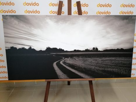 WANDBILD UNTERGEHENDE SONNE ÜBER DER LANDSCHAFT IN SCHWARZ-WEISS - SCHWARZ-WEISSE BILDER - BILDER