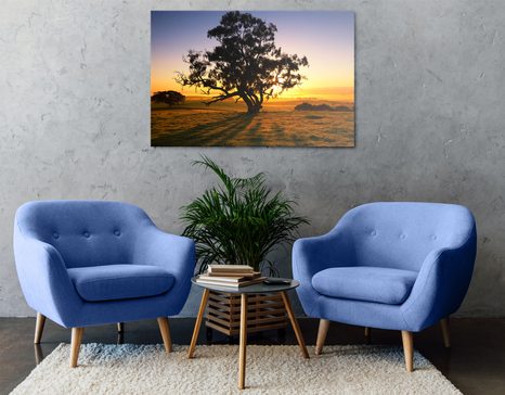 КАРТИНА НА ПЛАТНО – САМОТНО ДЪРВО ПРИ ЗАЛЕЗ - КАРТИНИ НА ПРИРОДАТА И ПЕЙЗАЖИ - КАРТИНИ