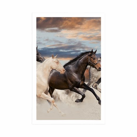 POSTER PFERDEHERDE - TIERE - POSTER