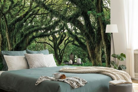 SELBSTKLEBENDE FOTOTAPETE VON BÄUMEN UMGEBENER WEG - SELBSTKLEBENDE TAPETEN - TAPETEN