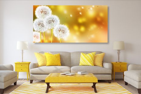 OBRAZ NADÝCHANÁ PAMPELIŠKA - OBRAZY KVĚTŮ - OBRAZY