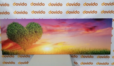 TABLOU COPAC ÎN FORMĂ DE INIMĂ PE PAJIȘTE - TABLOURI DRAGOSTE - TABLOURI