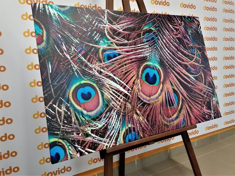 SLIKA PAVJE PERO - SLIKE TIHOŽITJE - SLIKE