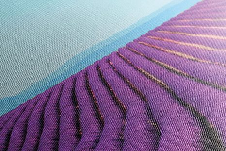 OBRAZ NEKONEČNÉ LEVANDULOVÉ POLE - OBRAZY PŘÍRODY A KRAJINY - OBRAZY