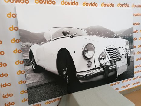 OBRAZ LUXUSNÍ VETERÁN V ČERNOBÍLÉM PROVEDENÍ - ČERNOBÍLÉ OBRAZY - OBRAZY