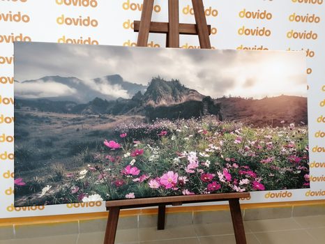 KÉP VIRÁGZÓ RÉT - TERMÉSZET- ÉS TÁJKÉPEK - KÉPEK