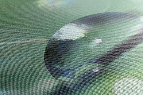 КАРТИНА НА ПЛАТНО – КАПКА РОСА - КАРТИНИ НА ПРИРОДАТА И ПЕЙЗАЖИ - КАРТИНИ