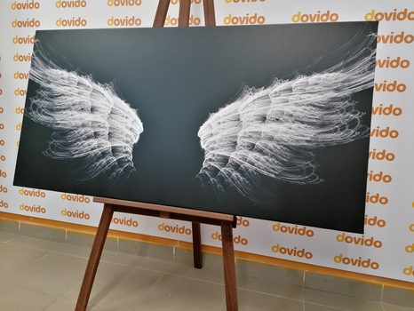 TABLOU ARIPI DE ÎNGER ALB-NEGRU - TABLOURI ALB-NEGRU - TABLOURI