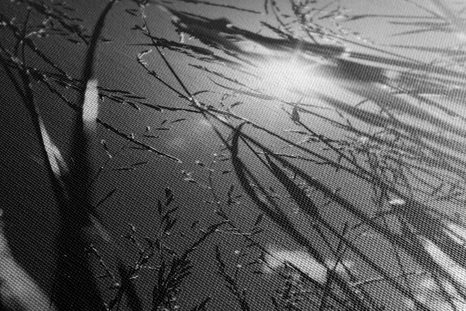 OBRAZ TRAWA POLNA W WERSJI CZARNO-BIAŁEJ - OBRAZY CZARNO-BIAŁE - OBRAZY