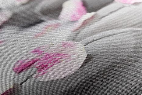 OBRAZ WELLNES KAMENY S LUPÍNKY - OBRAZY FENG SHUI - OBRAZY