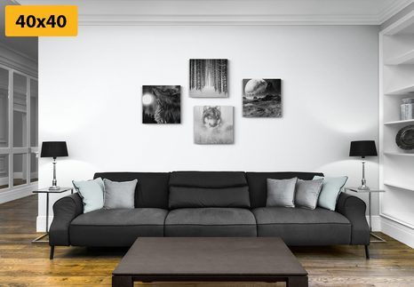 KOMPLET SLIK SKRIVNOSTEN VOLK V ČRNOBELI IZVEDBI - KOMPLETI SLIK - SLIKE