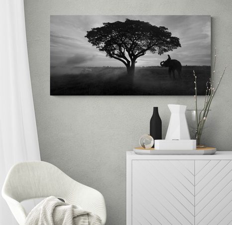 WANDBILD ELEFANT BEIM SONNENAUFGANG IN SCHWARZ-WEISS - SCHWARZ-WEISSE BILDER - BILDER