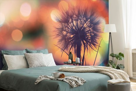 CARTA DA PARATI – DENTE DI LEONE LUMINOSO - CARTA DA PARATI CON FIORI - CARTA DA PARATI