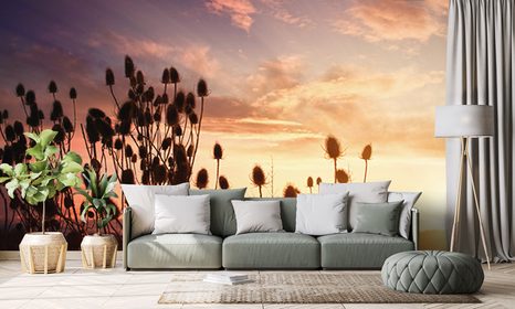 CARTA DA PARATI AUTOADESIVA – STELI D'ERBA NEL CAMPO - CARTA DA PARATI AUTOADESIVE - CARTA DA PARATI