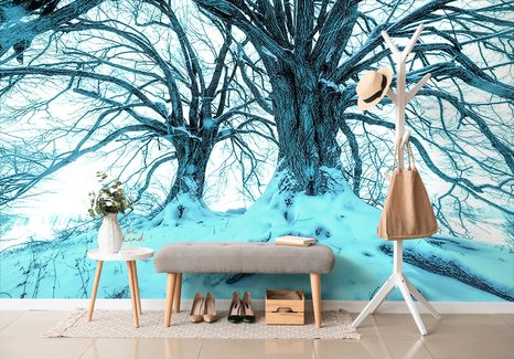 FOTOTAPETA PŘÍCHOD ZIMY - TAPETY PŘÍRODA - TAPETY