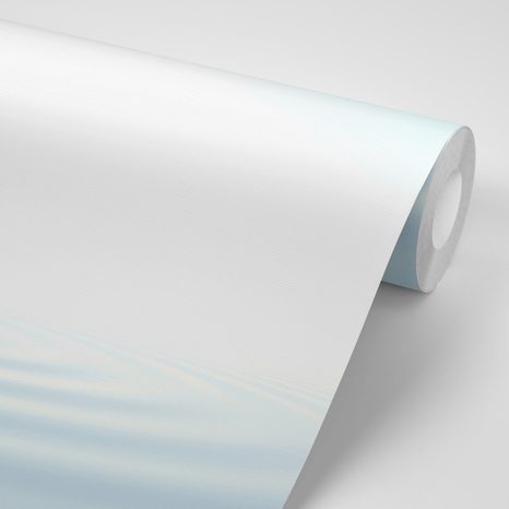 ΤΑΠΕΤΣΑΡΊΑ ΛΟΥΛΟΎΔΙ ΛΩΤΟΎ - ΤΑΠΕΤΣΑΡΊΕΣ ΦΕΝΓΚ ΣΟΎΙ - ΤΑΠΕΤΣΑΡΊΕΣ