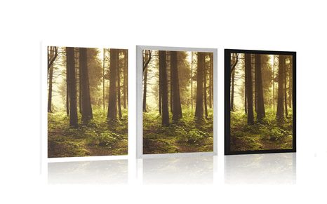 PLAGÁT LES ZALIATY SLNKOM - PRÍRODA - PLAGÁTY