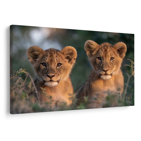 WANDBILD LÖWENJUNGE IN DER WILDNIS - BILDER VON LÖWEN UND TIGERN - BILDER