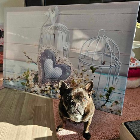 OBRAZ SERDUSZKO I LAMPIONY W STYLU VINTAGE - VINTAGE A RETRO OBRAZY - OBRAZY