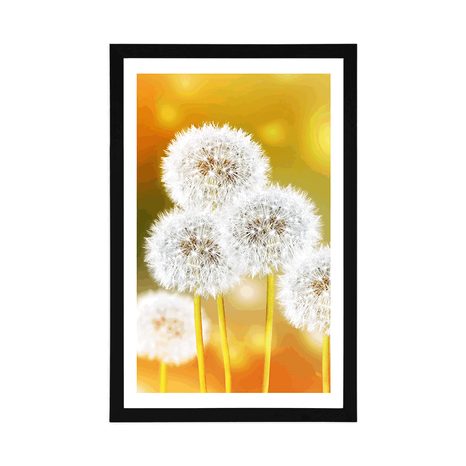 PLAKAT S PASPARTUOM PAHULJASTI MASLAČAK - CVIJEĆE - PLAKATI