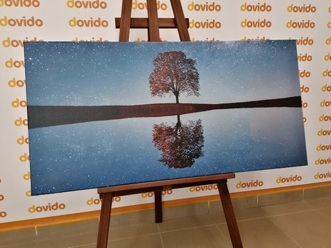 WANDBILD STERNENHIMMEL ÜBER EINEM ALLEINSTEHENDEN BAUM - BILDER VON NATUR UND LANDSCHAFT - BILDER