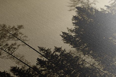 TABLOU PĂDURE ÎN SEPIA - TABLOURI ALB-NEGRU - TABLOURI