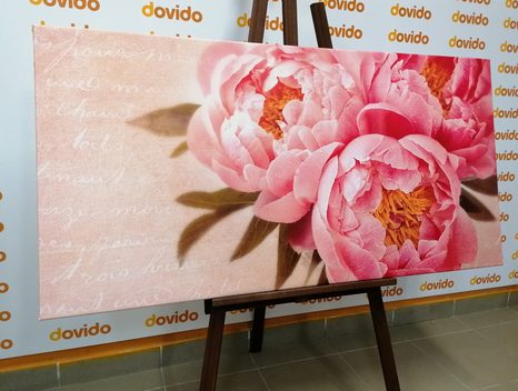 ΛΕΠΤΟΜΈΡΕΙΑ ΕΙΚΌΝΑΣ ΒΟΎΔΑΣ - ΠΊΝΑΚΕΣ VINTAGE ΈΝΑ ΡΕΤΡΌ - ΠΊΝΑΚΕΣ