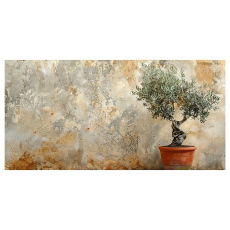 SLIKA MASLINA U LONCU - SLIKE MRTVE PRIRODE - SLIKE