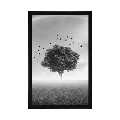 POSTER – ALBERO SOLITARIO SUL PRATO IN BIANCO E NERO - NERO E BIANCO - POSTER