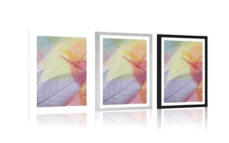 POSTER – VENATURE SULLE FOGLIE COLORATE - NATURA - POSTER