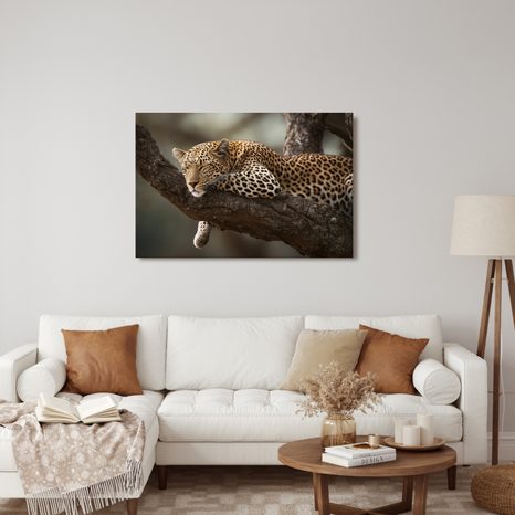 WANDBILD LEOPARD RUHT AUF EINEM BAUM - BILDER VON LÖWEN UND TIGERN - BILDER