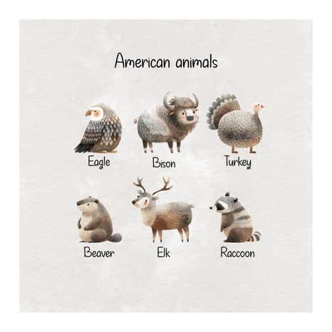 OBRAZ ILUSTRACE AMERICKÝCH ZVÍŘAT - DĚTSKÉ OBRAZY ZVÍŘÁTKA - OBRAZY