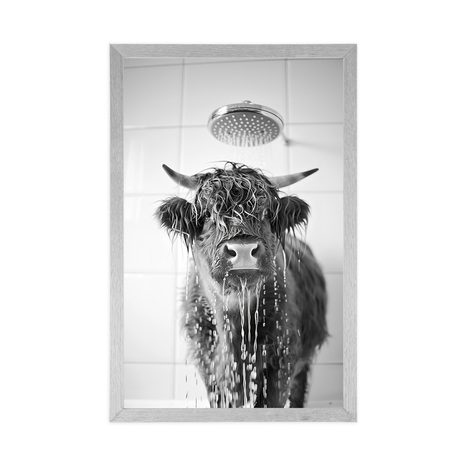 POSTER – MUCCA SOTTO LA DOCCIA - BUFALI E MUCCHE - POSTER