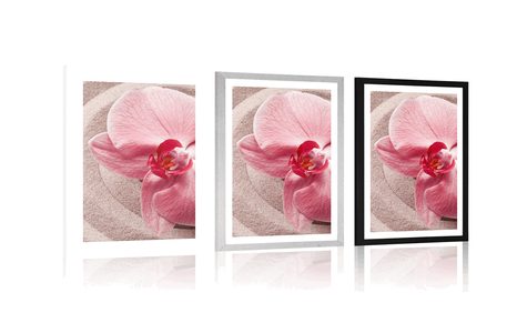 POSTER WITH MOUNT SEA SAND AND A PINK ORCHID - FLOWERS - POSTERS