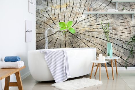 FOTOTAPETE GEBURT NEUEN LEBENS - TAPETEN MIT NATURMOTIVEN - TAPETEN