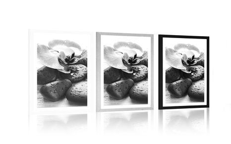 POSTER – BELLA ARMONIA DI PIETRE E ORCHIDEA IN BIANCO E NERO - NERO E BIANCO - POSTER