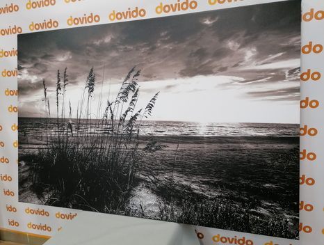 TABLOU APUS DE SOARE PE PLAJĂ ALB-NEGRU - TABLOURI ALB-NEGRU - TABLOURI