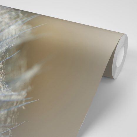 FOTOTAPETA MAKRO PAMPELIŠKA - TAPETY KVĚTINY - TAPETY