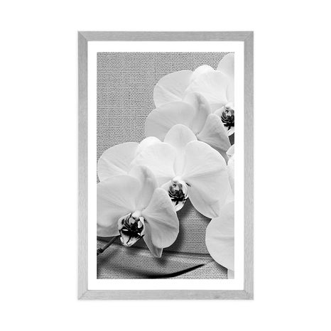 POSTER – ORCHIDEA SU TELA IN BIANCO E NERO - NERO E BIANCO - POSTER