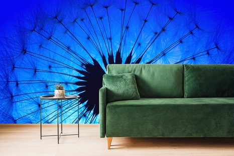 TAPETA MODRÁ PAMPELIŠKA - TAPETY KVĚTINY - TAPETY