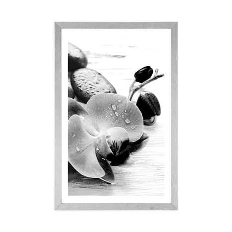 AFFICHE AVEC PASSE-PARTOUT – HARMONIE MAGIQUE DE PIERRES ET ORCHIDÉE EN NOIR ET BLANC - NOIR ET BLANC - AFFICHES