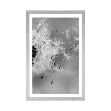 POSTER – DENTE DI LEONE MAGICO IN BIANCO E NERO - NERO E BIANCO - POSTER