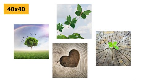 ΣΕΤ ΕΙΚΌΝΩΝ ΜΟΝΑΔΙΚΈΣ ΓΩΝΙΈΣ ΤΗΣ ΦΎΣΗΣ - ΣΎΝΟΛΟ ΠΊΝΑΚΕΣ - ΠΊΝΑΚΕΣ