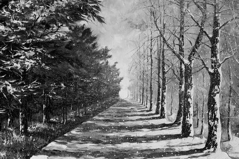 OBRAZ PODZIMNÍ ALEJ STROMŮ V ČERNOBÍLÉM PROVEDENÍ - ČERNOBÍLÉ OBRAZY - OBRAZY