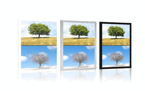 PLAKÁT STROM V ROČNÍCH OBDOBÍCH - PŘÍRODA - PLAKÁTY