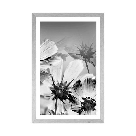 AFFICHE AVEC PASSE-PARTOUT – FLEURS DE JARDIN EN NOIR ET BLANC - NOIR ET BLANC - AFFICHES