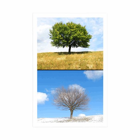 PLAKÁT STROM V ROČNÍCH OBDOBÍCH - PŘÍRODA - PLAKÁTY
