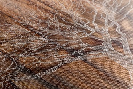 SLIKA DREVO ŽIVLJENJA - SLIKE DREVESA ŽIVLJENJA - SLIKE