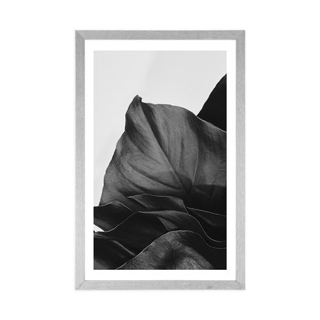 POSTER MIT PASSEPARTOUT BEZAUBERNDES BLATT DER MONSTERA IN SCHWARZ-WEISS - SCHWARZ-WEISS - POSTER